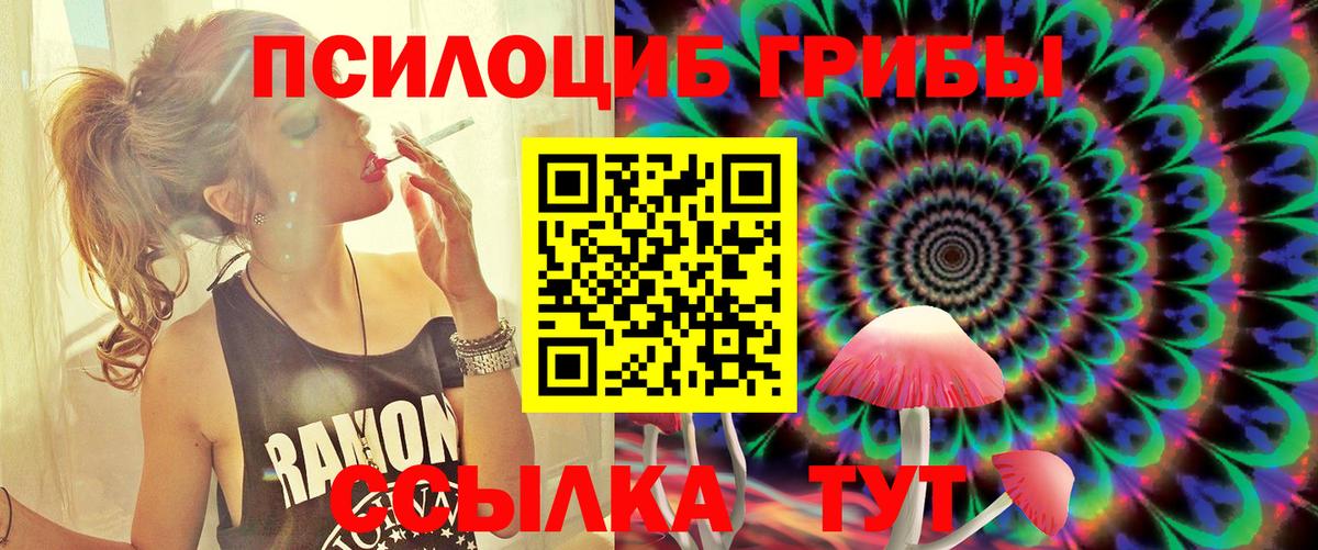 Псилоцибиновые грибы GOLDEN TEACHER  наркошоп  Юрга  Вход с VPN 